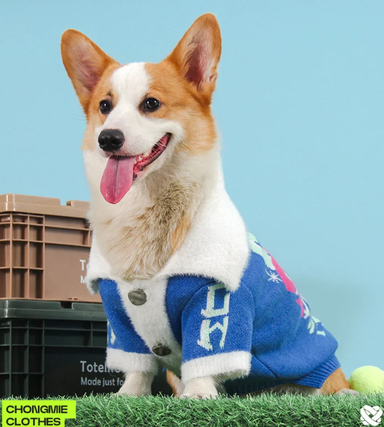 🐶Corgi Style Collection – Where Cuteness Meets Fashion!✨🐾