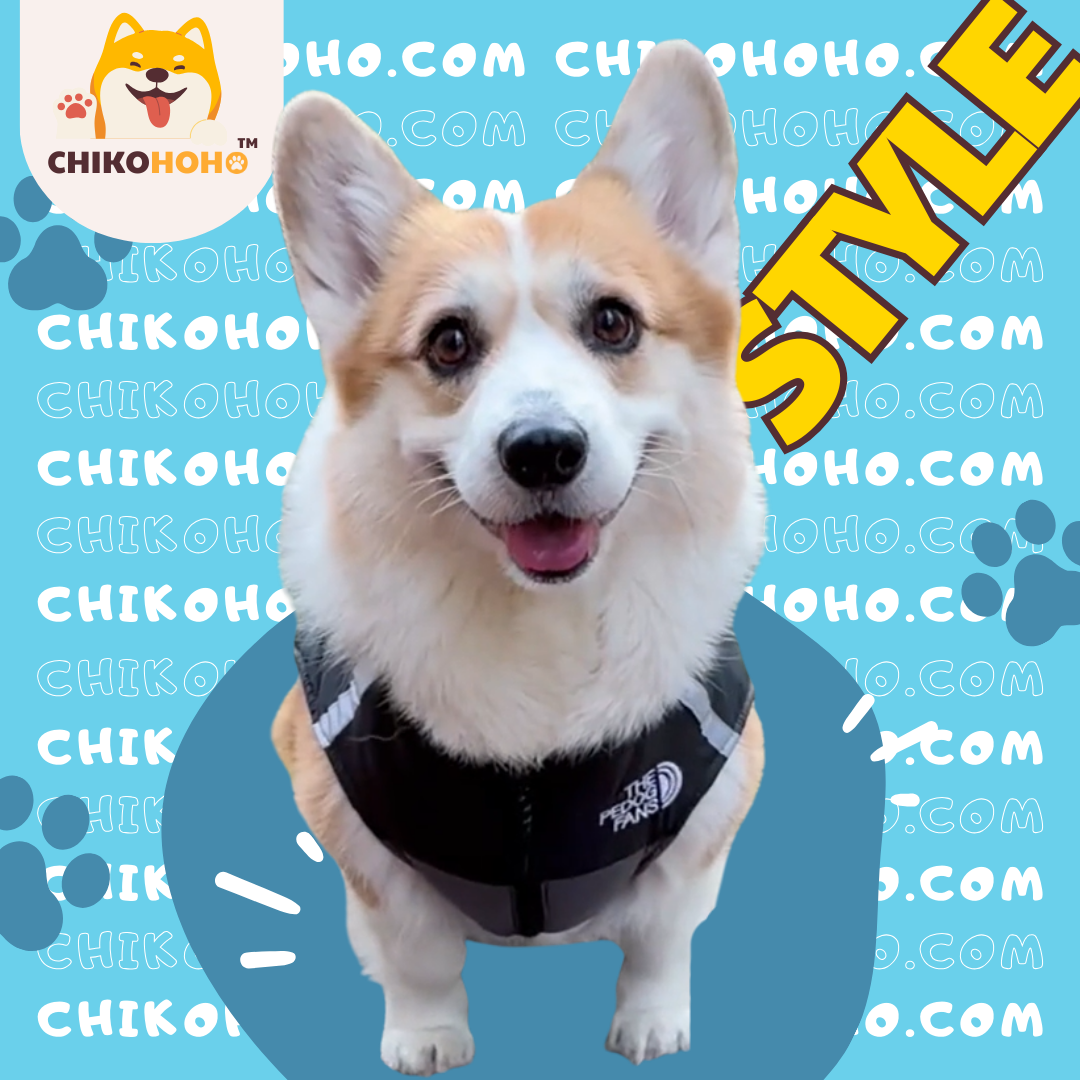 🐾 Chikopuff Padded Jacket 🐶