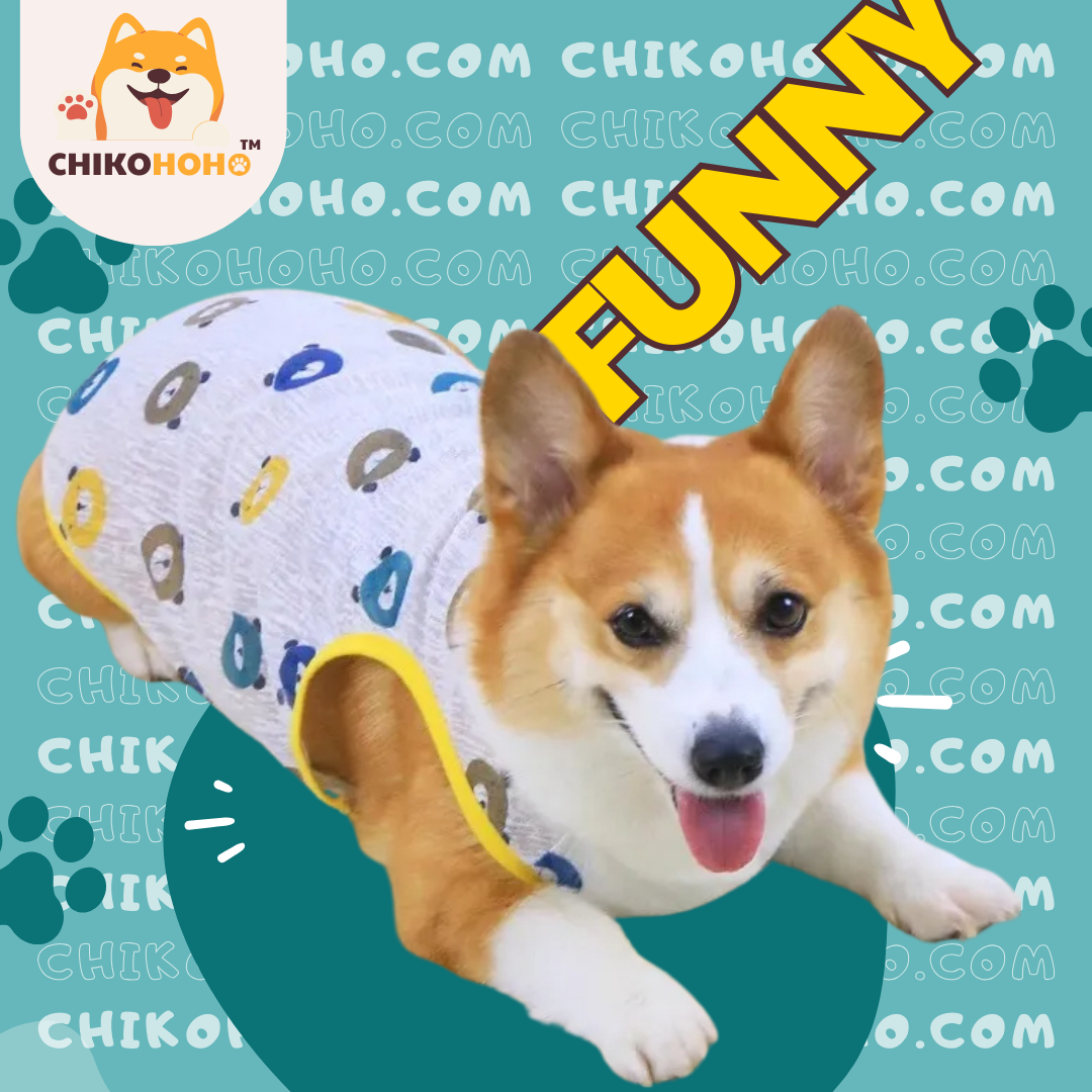 🐾 Chikocool Summer Tshirt 🐶