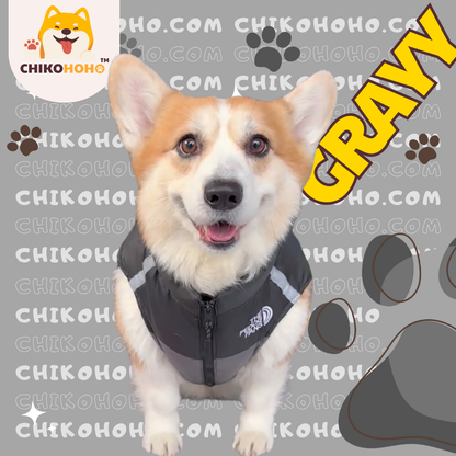 🐾 Chikopuff Padded Jacket 🐶